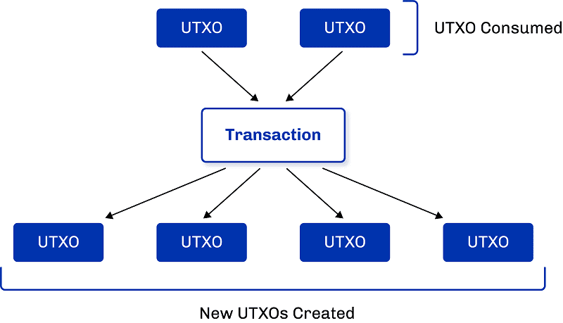 从BTC到Sui、ADA与Nervos：UTXO模型及其相关扩展  第6张