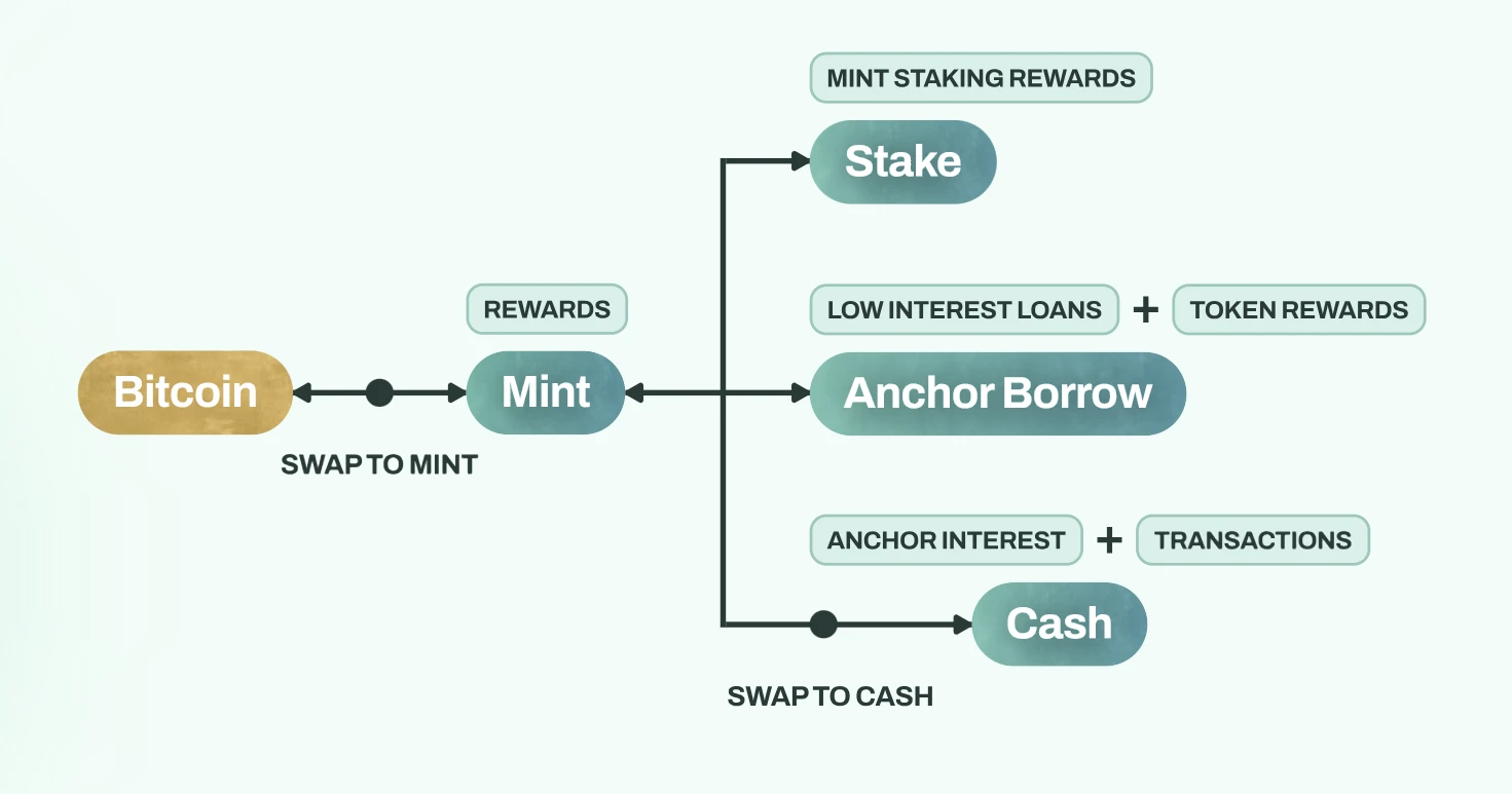 继承Terra遗志，Mint Cash能否超越UST当年荣光？