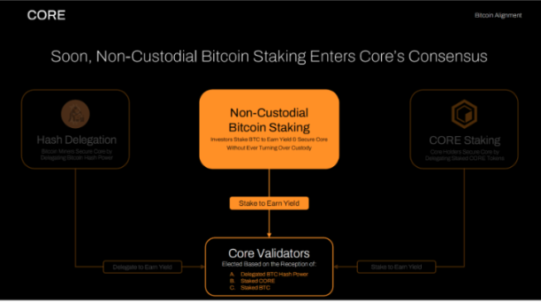 比特币驱动的公链 Core，能否成为BTCFi最优解？  第2张