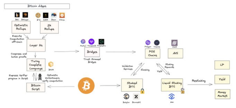 Polygon Ventures：对本轮牛市 BTC 生态的研究分析  第2张