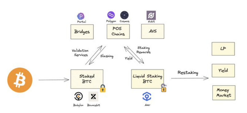 Polygon Ventures：对本轮牛市 BTC 生态的研究分析  第13张