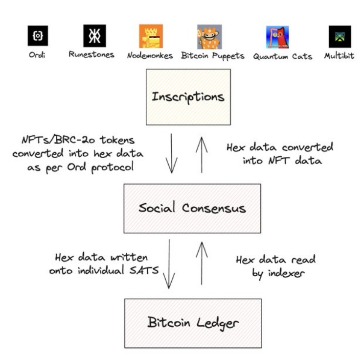 Polygon Ventures：对本轮牛市 BTC 生态的研究分析  第4张