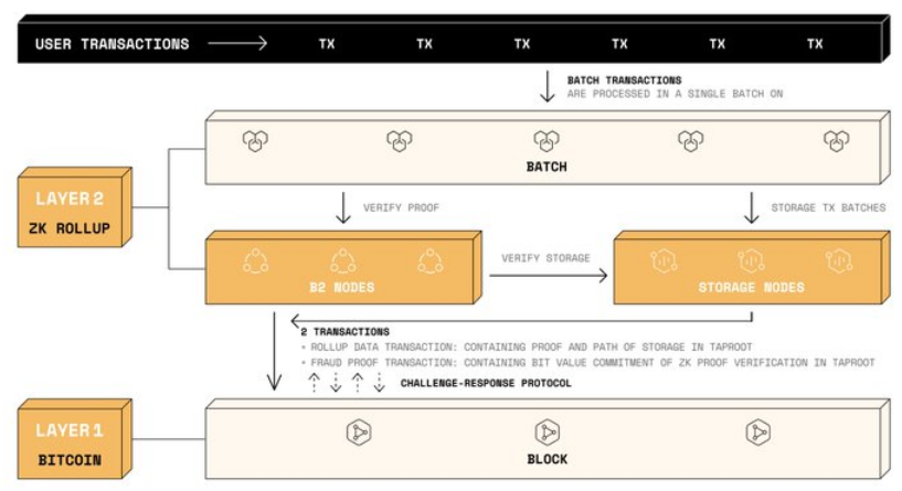 Polygon Ventures：对本轮牛市 BTC 生态的研究分析  第9张