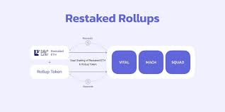 AltLayer：模块化+restaking叙事的 Rollup 服务协议  第2张