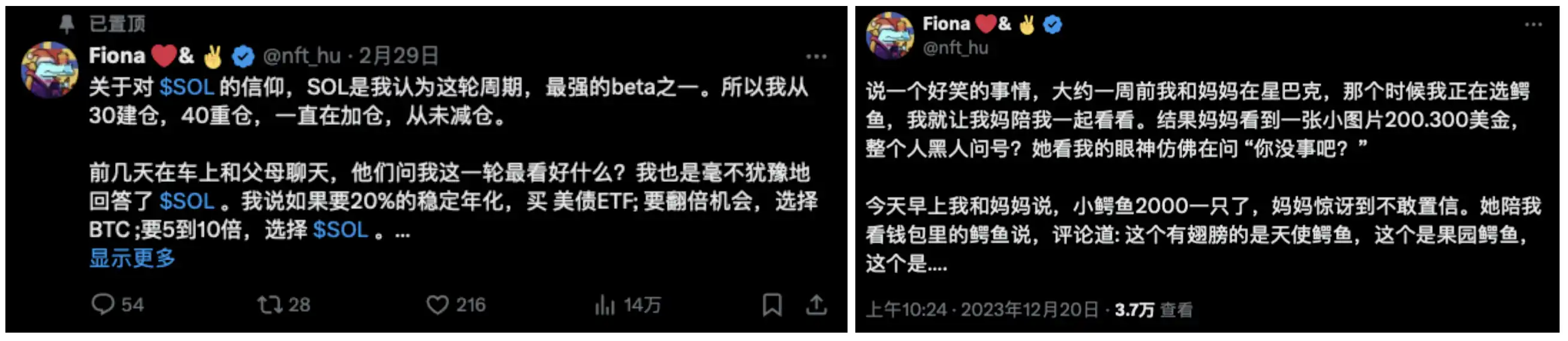 对话KOL｜待过VC和项目方后选择做「全职散户」，实力派Alpha猎手Fiona的炒币哲学  第3张