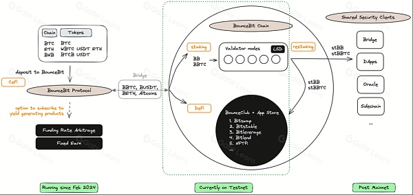 BounceBit：跨链流动，自由质押，构建比特币新生态  第2张