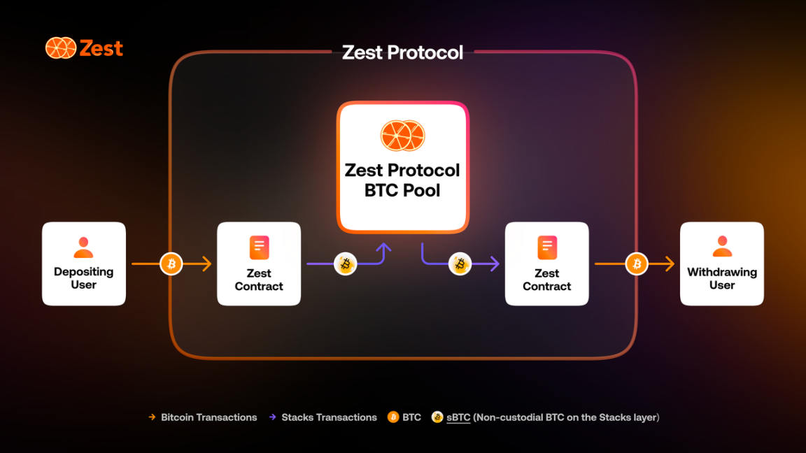 Binance Labs 参投，Zest 如何打造比特币借贷 DeFi？