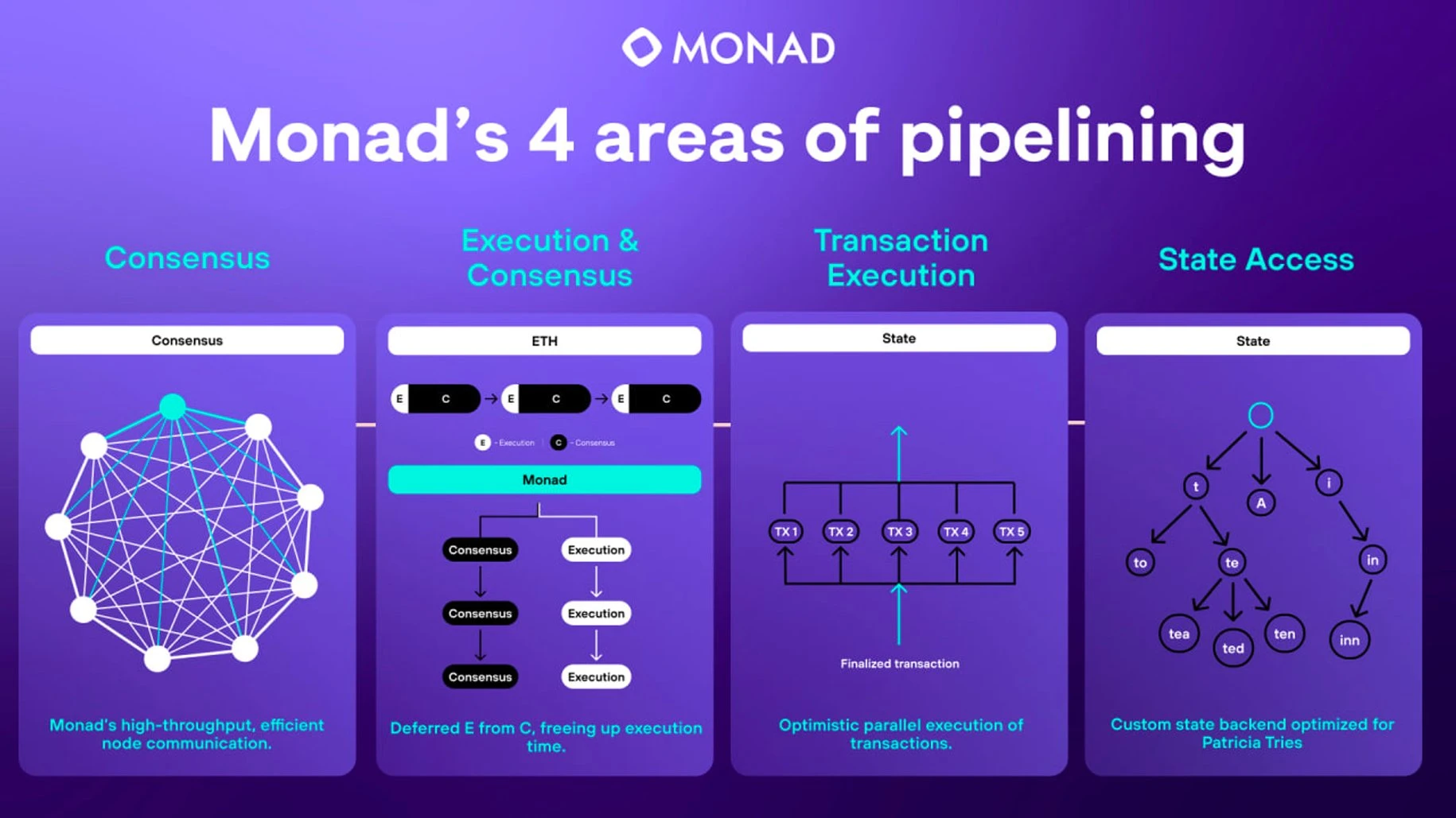 手把手带你埋伏空投“大毛”：Monad与Polymer Labs  第1张