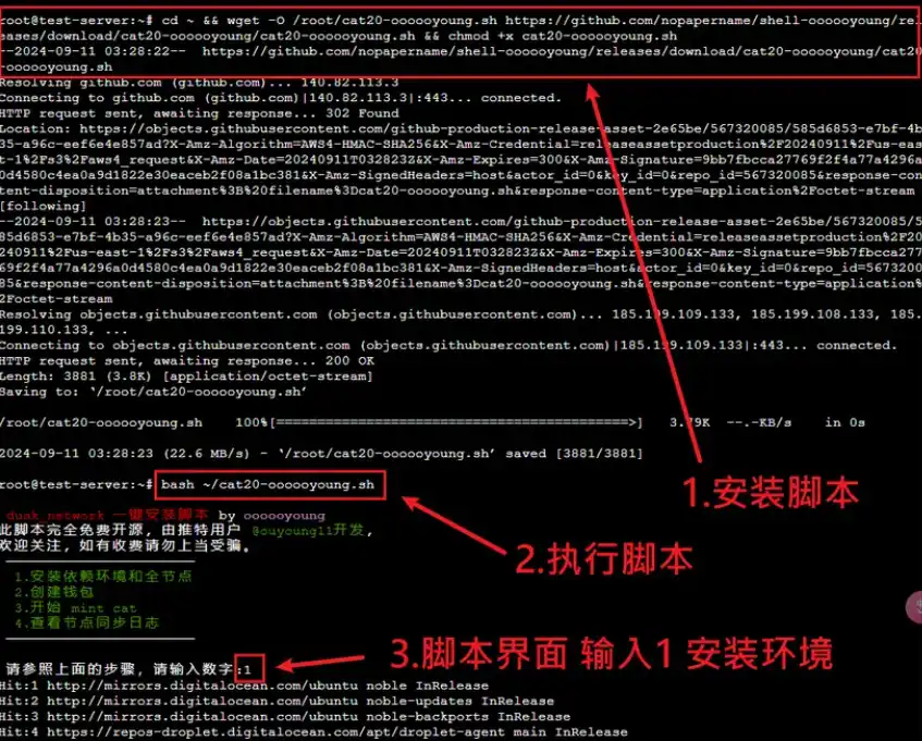 五分钟完成 Fractal 分型网络 CAT Protocol 代币铸造教程（一键脚本）  第1张