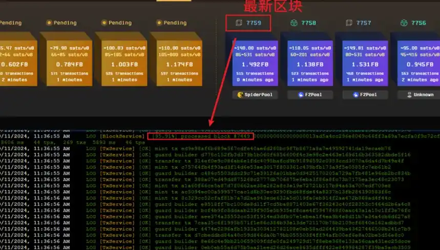 五分钟完成 Fractal 分型网络 CAT Protocol 代币铸造教程（一键脚本）  第3张