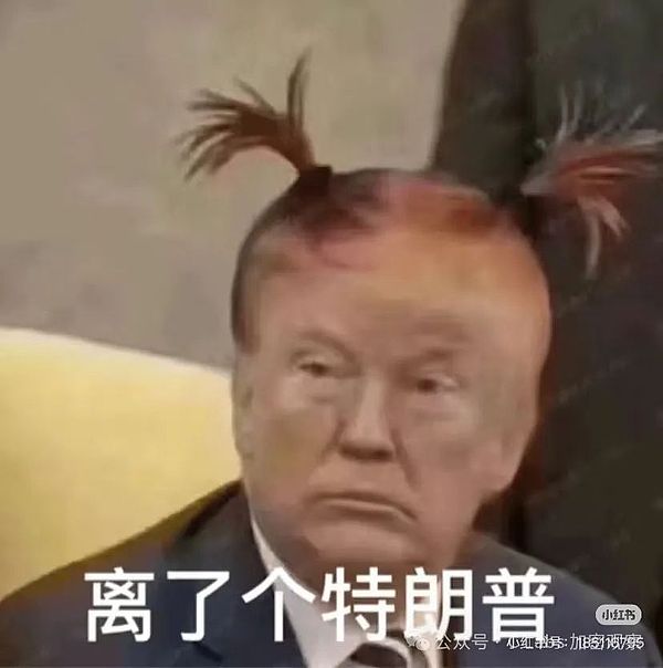 特朗普为啥要亲自发币 第2张