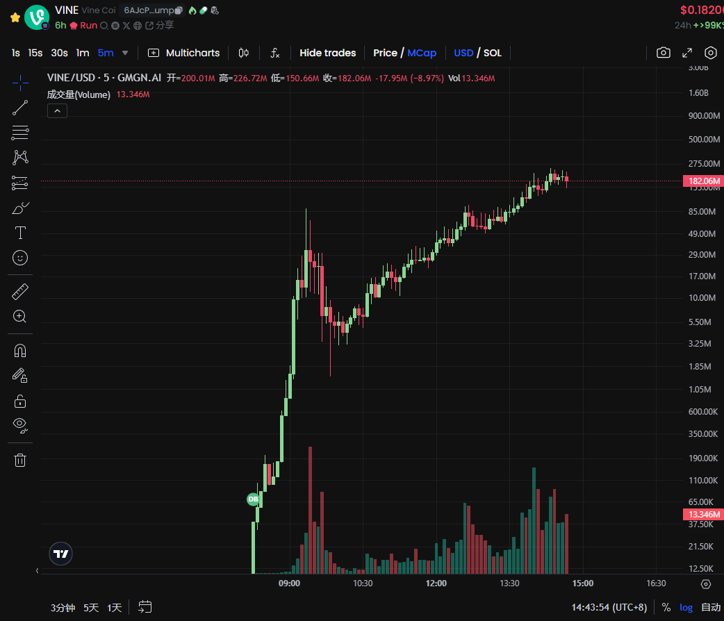 金狗再现，爆火的VINE和Ainti在讲什么故事？  第2张