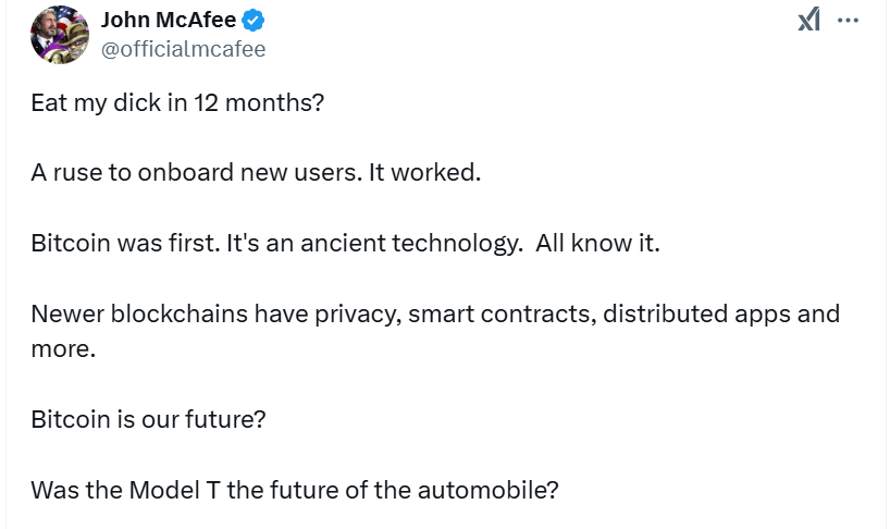 McAfee 生平与他的 Ainti 代币  第4张