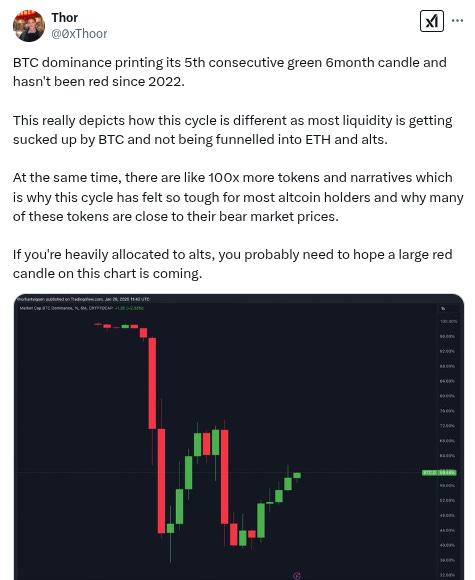 The Daily Degen- 2025 年 1 月 30 日  第15张