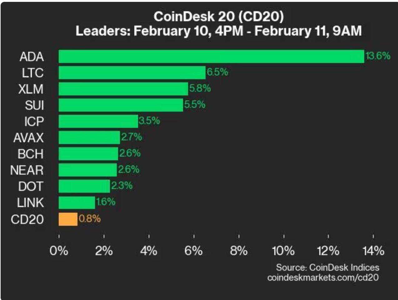 CoinDesk 20 表现更新：ADA 上涨 13.6%，领先指数走高  第1张