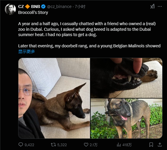 CZ爱犬Broccoli引发链上meme大战,哪些币值得冲? 第2张