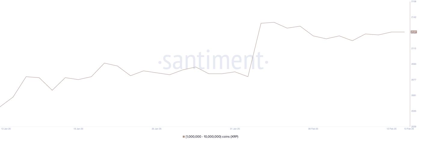 SEC 批准 XRP ETF 申请后,XRP 价格上涨10% 第2张