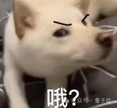 全球最大开源视频模型,现在也 Created in China了,阶跃出品 第3张