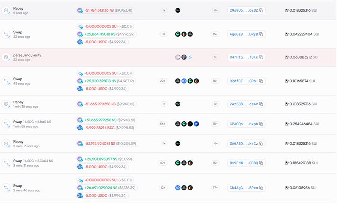 Sui Name Service (NS)暴涨——项目潜力爆发还是昙花一现? 第2张