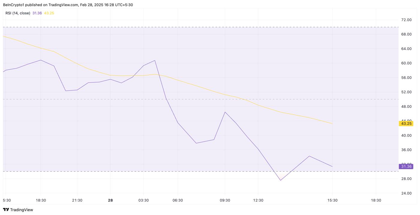 PI 币暴跌 24%:卖家疲劳是否预示着反弹? 第1张
