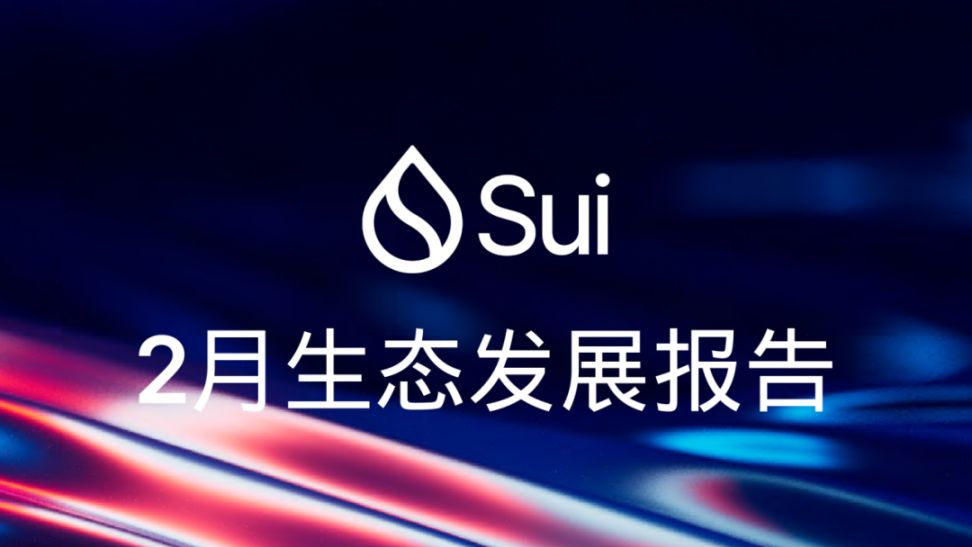 盘点 2025 年 2 月 Sui 生态发展，了解 Sui 近期成长历程！  第2张