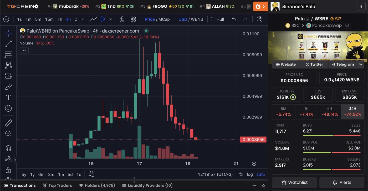 3 月最后一周最值得关注的 3 大BNB Meme币 第2张