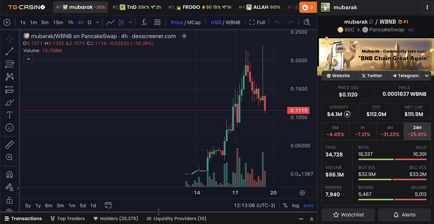 3 月最后一周最值得关注的 3 大BNB Meme币 第1张