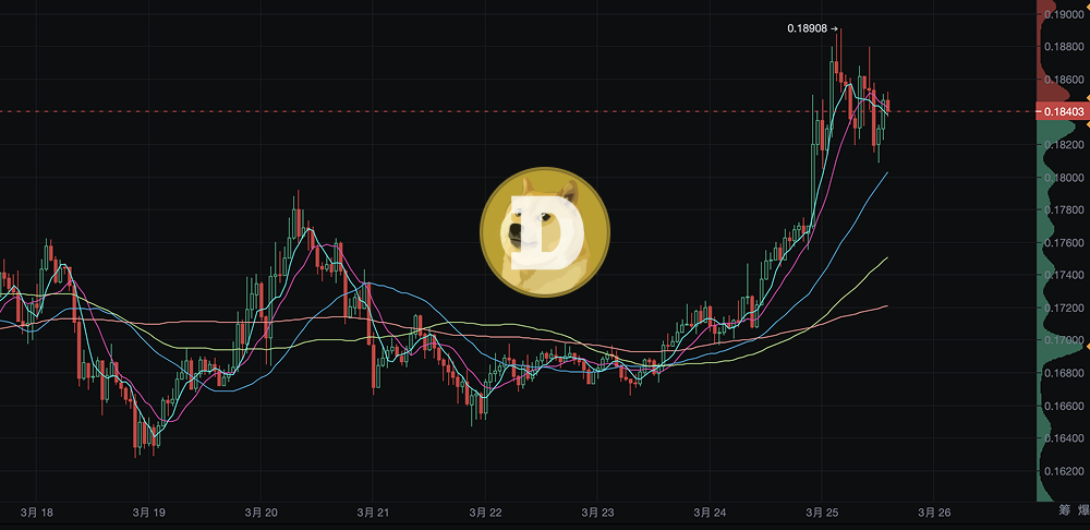 从meme到支付：Dogecoin基金会携手House of Doge，储备1000万DOGE开启新篇章  第1张