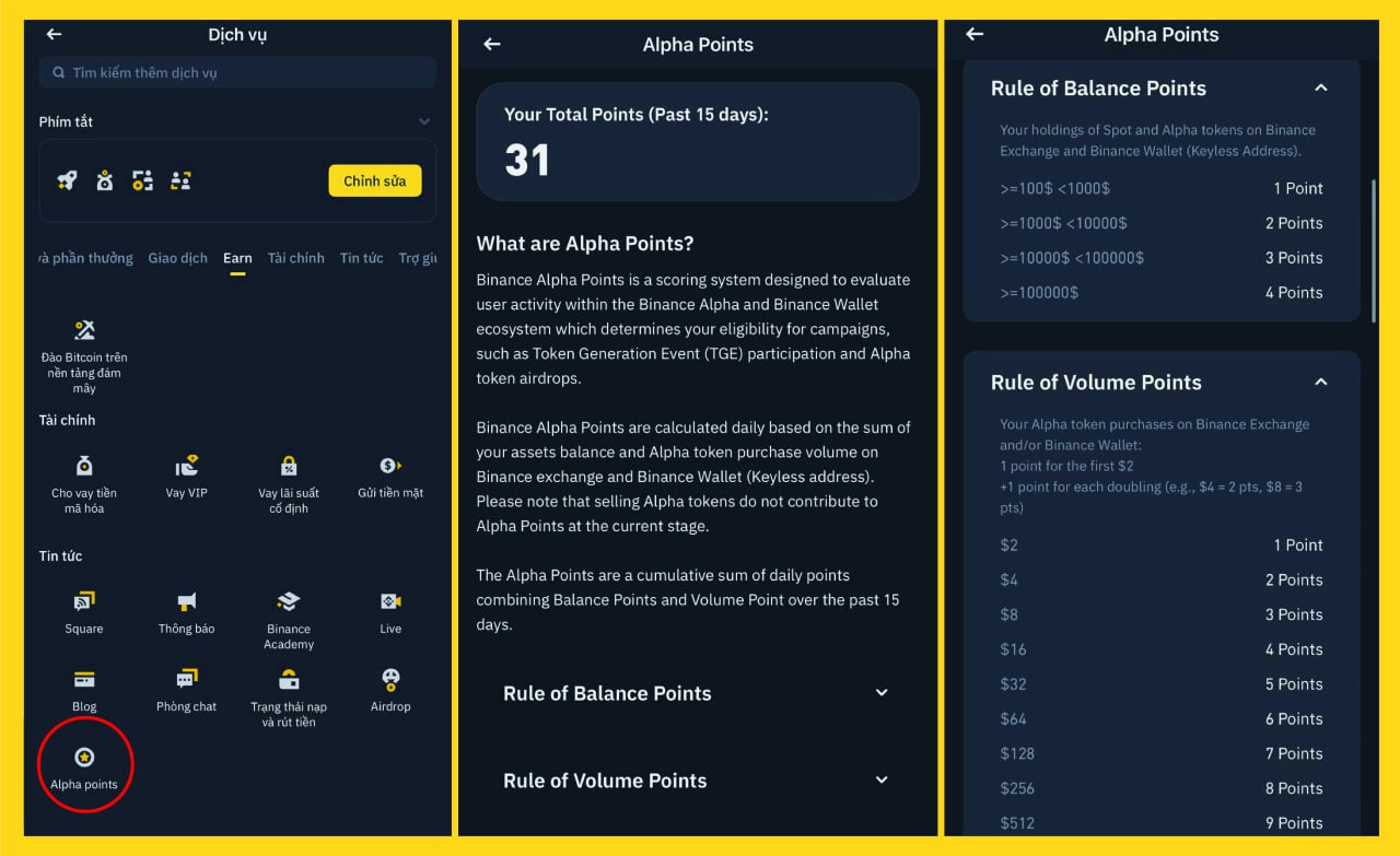 什么是Binance Alpha积分?币安钱包上Alpha积分空投和参与TGE指南 什么是币安Alpha Point?在币安钱包中耕种 Alpha Point 以获取空投并参与 TGE 的说明 第1张