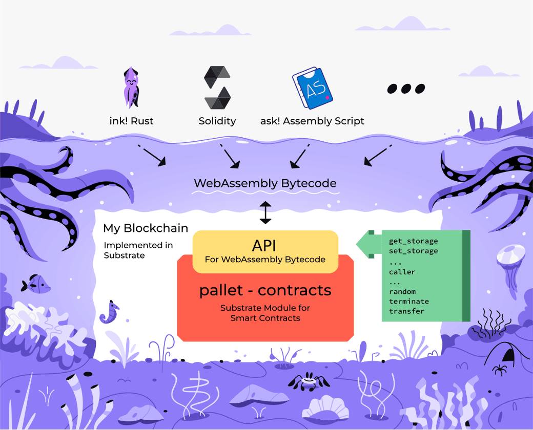 Gavin 的 Web3 理想国：Polkadot 智能合约与虚拟机演进史  第4张