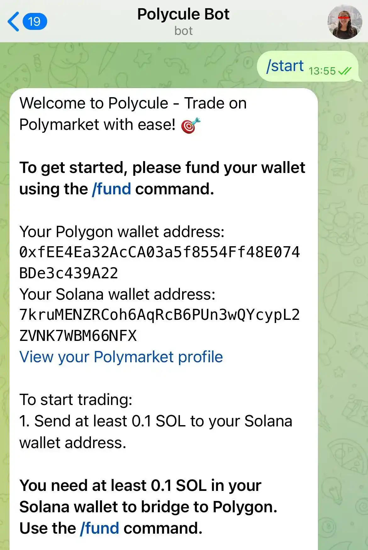 AllianceDAO投资、代币市值破10M,Polycule给Polymarket做了个TG Bot 第6张
