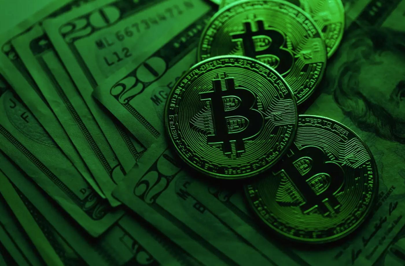 近期值得关注的7个新项目 第1张
