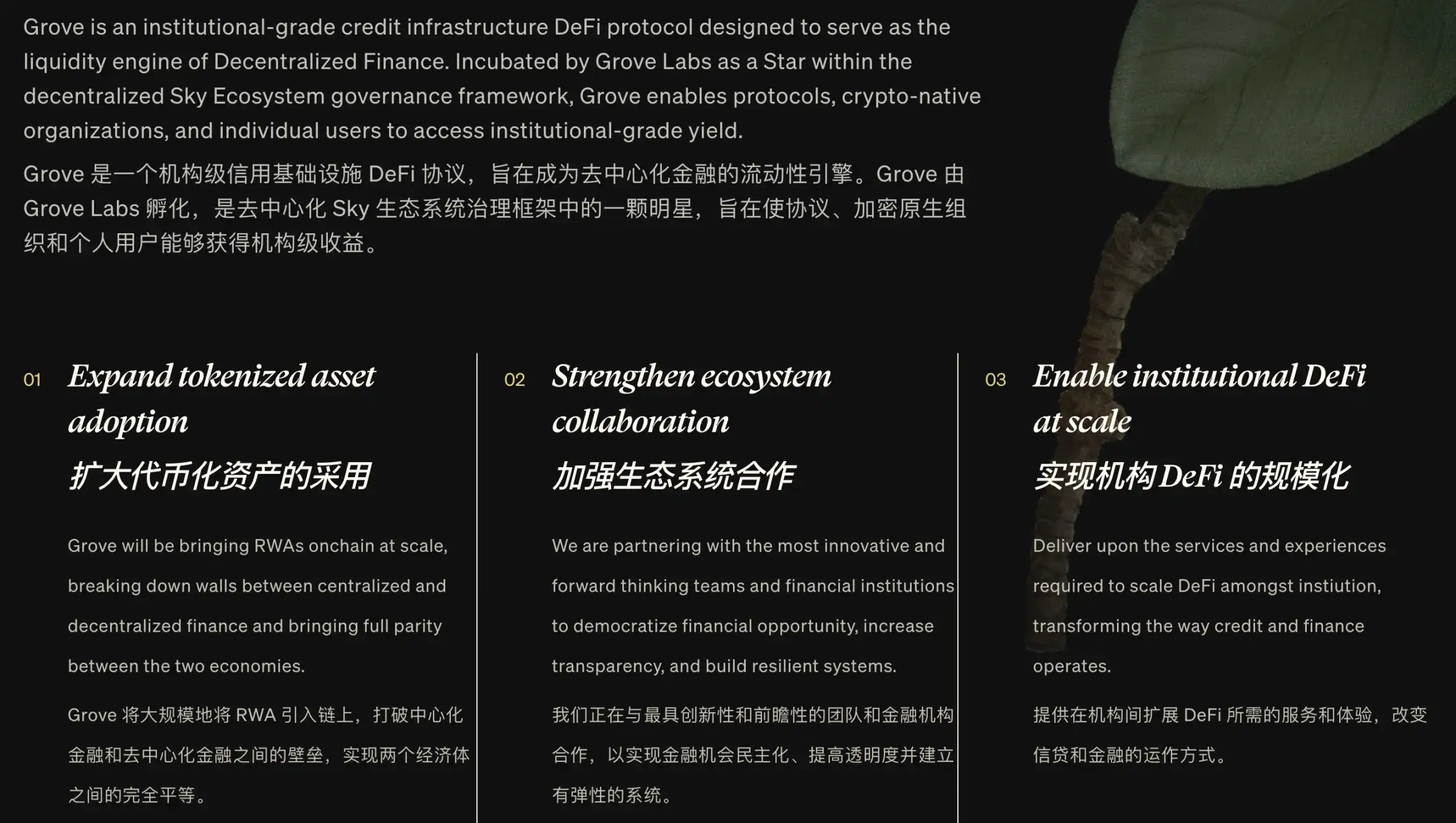 继 Spark 后,Sky 押注 Grove,RWA 新贵登场? 第4张