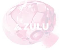 ZULU 的战略转变:拥抱人工智能前沿 ⏫ 第4张