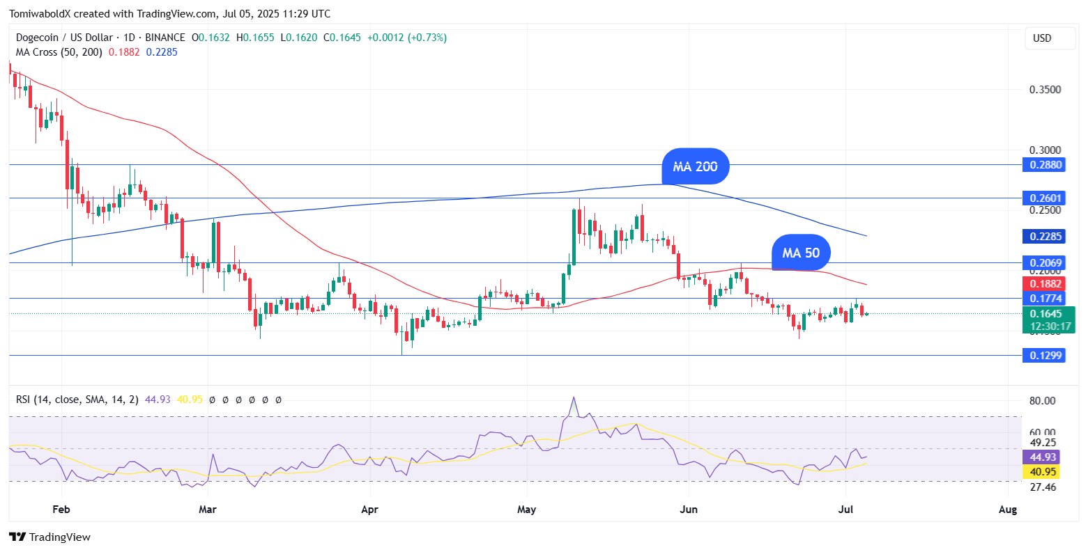 Dogecoin在 Coinbase 上的交易量激增 11,558%:背后是什么? 第1张