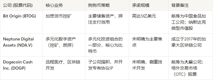 猪肉公司建立狗狗币财库?Bit Origin的终极实验 第3张