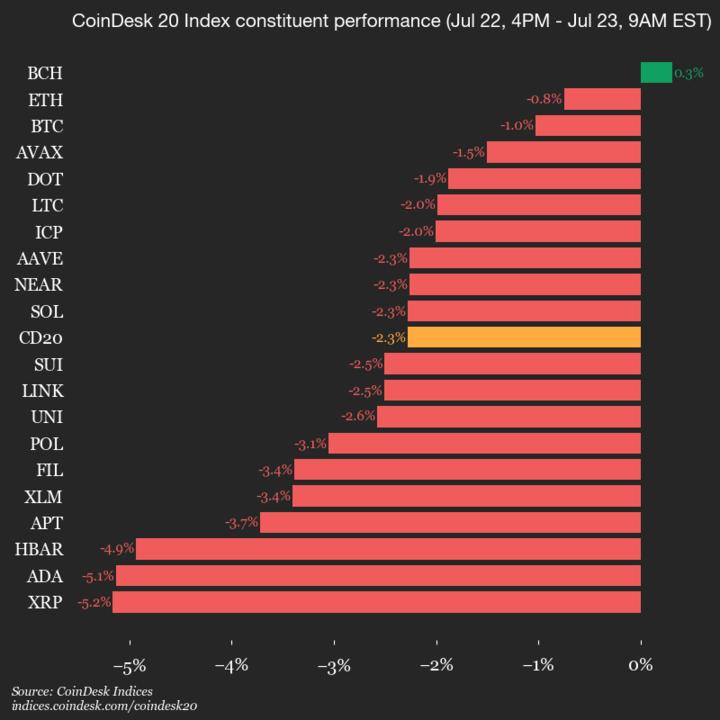 9am CoinDesk 20 Update for 2025-07-23: vertical chart CoinDesk 20 表现更新:瑞波币(XRP)下跌 5.2%,领先指数下跌 第1张