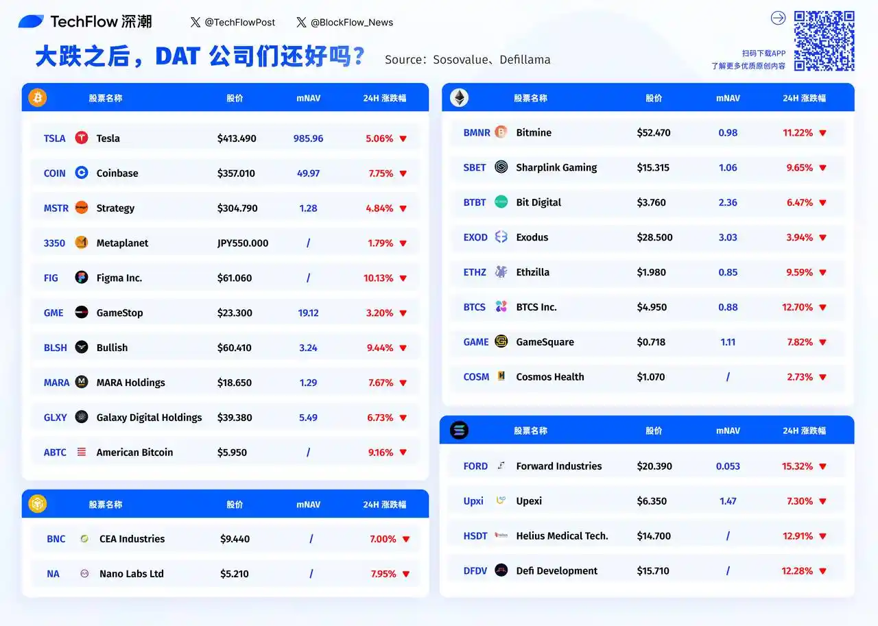 加密史诗级清算后,DAT公司们的股票还好吗 第1张