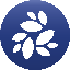 NKN LOGO图