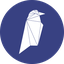 RVN LOGO图
