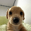 BILLY LOGO图