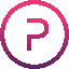 POLYX LOGO图